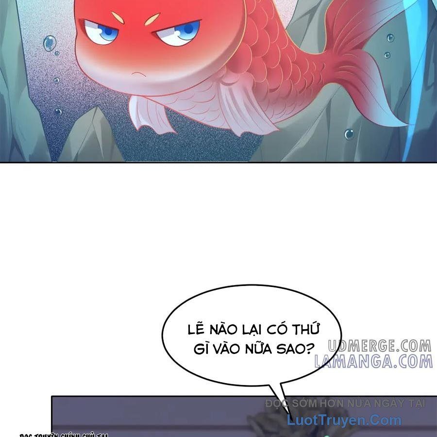 Cửa Hàng Sủng Vật Thần Kỳ Chapter 17 - Trang 8