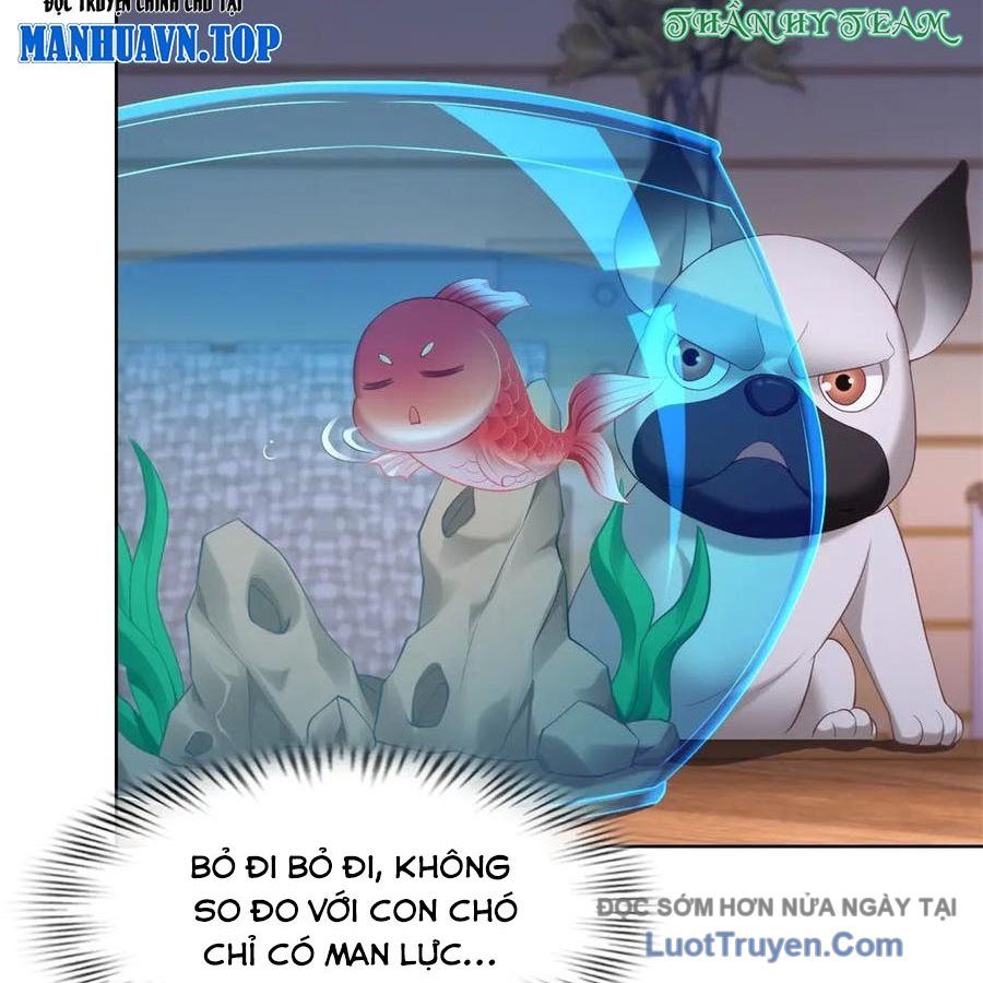 Cửa Hàng Sủng Vật Thần Kỳ Chapter 17 - Trang 9