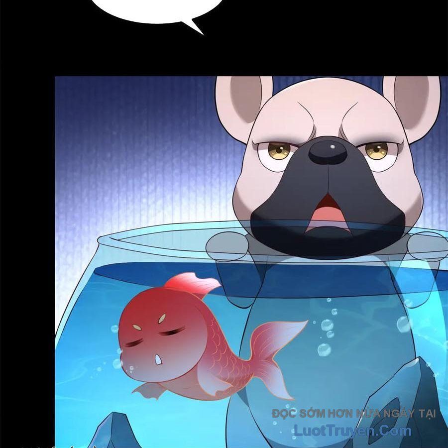 Cửa Hàng Sủng Vật Thần Kỳ Chapter 18 - Trang 25