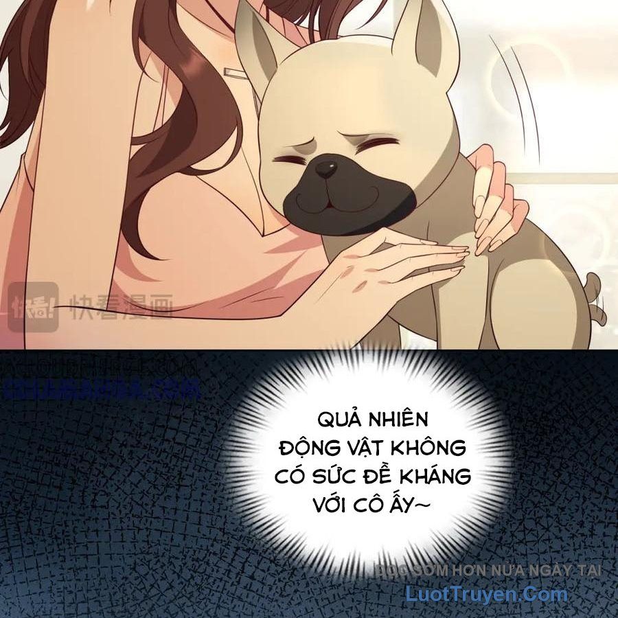Cửa Hàng Sủng Vật Thần Kỳ Chapter 18 - Trang 47