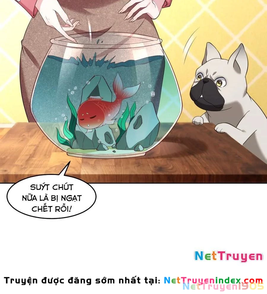 Cửa Hàng Sủng Vật Thần Kỳ Chapter 19 - Trang 11
