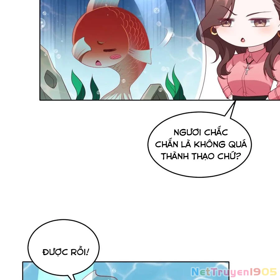 Cửa Hàng Sủng Vật Thần Kỳ Chapter 19 - Trang 14