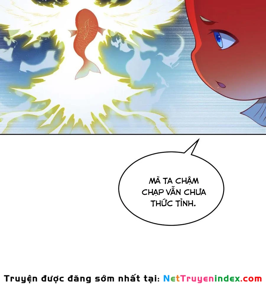 Cửa Hàng Sủng Vật Thần Kỳ Chapter 19 - Trang 17