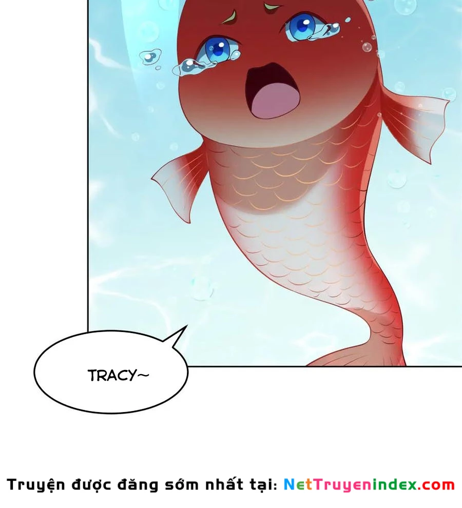 Cửa Hàng Sủng Vật Thần Kỳ Chapter 19 - Trang 27