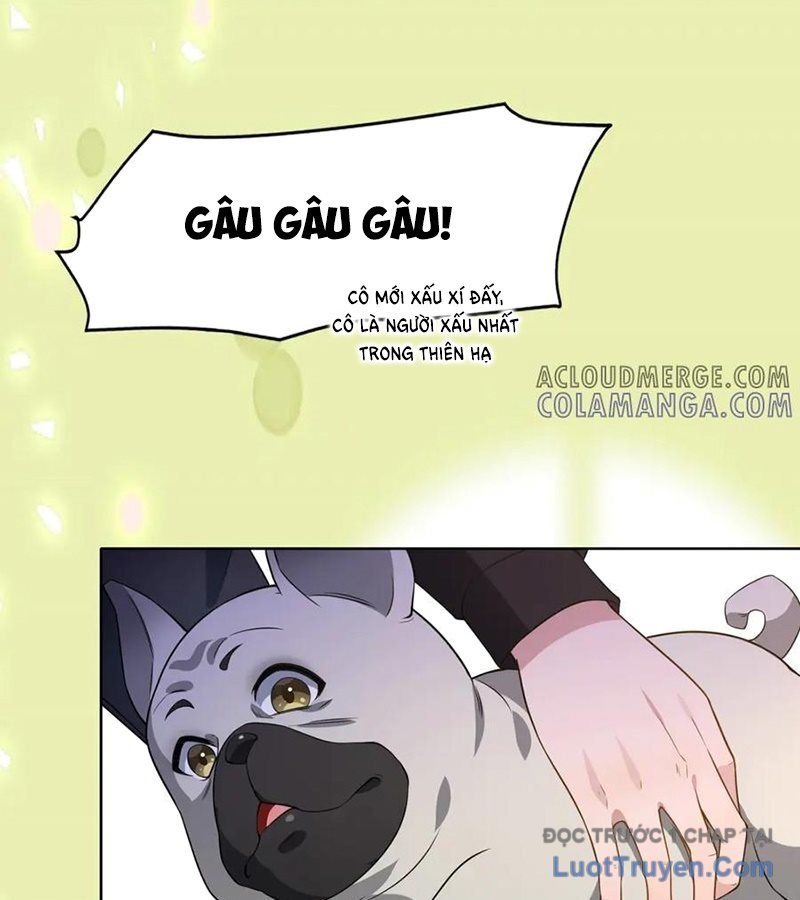 Cửa Hàng Sủng Vật Thần Kỳ Chapter 2 - Trang 37