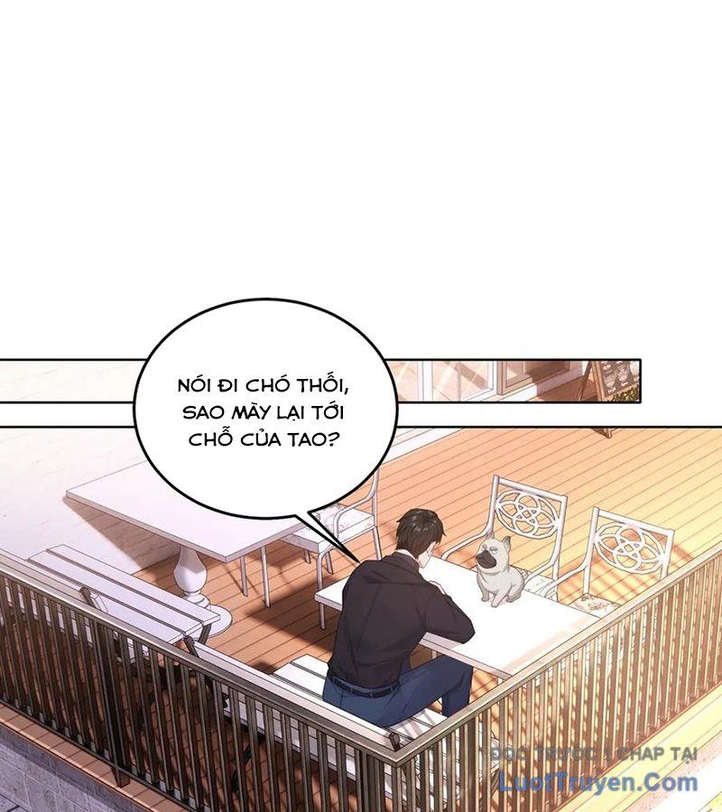 Cửa Hàng Sủng Vật Thần Kỳ Chapter 2 - Trang 43