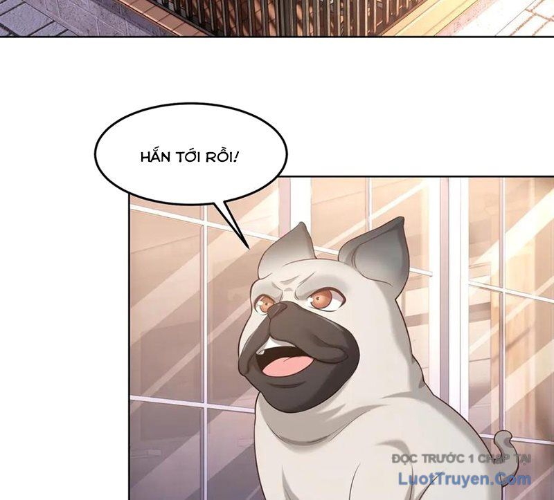 Cửa Hàng Sủng Vật Thần Kỳ Chapter 2 - Trang 44