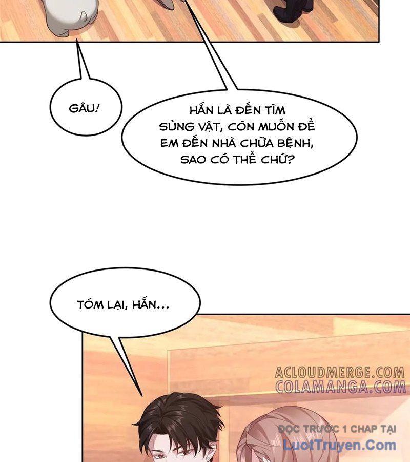 Cửa Hàng Sủng Vật Thần Kỳ Chapter 3 - Trang 19