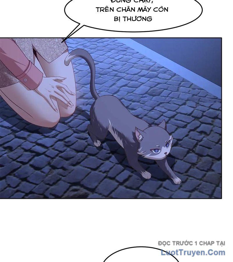 Cửa Hàng Sủng Vật Thần Kỳ Chapter 3 - Trang 37
