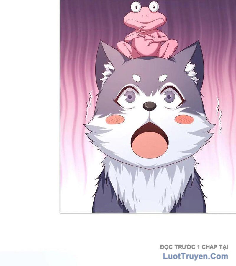 Cửa Hàng Sủng Vật Thần Kỳ Chapter 4 - Trang 23