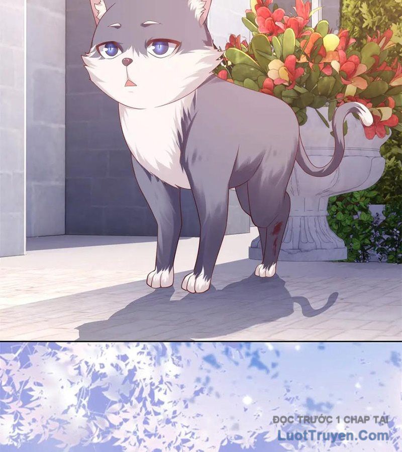 Cửa Hàng Sủng Vật Thần Kỳ Chapter 4 - Trang 40