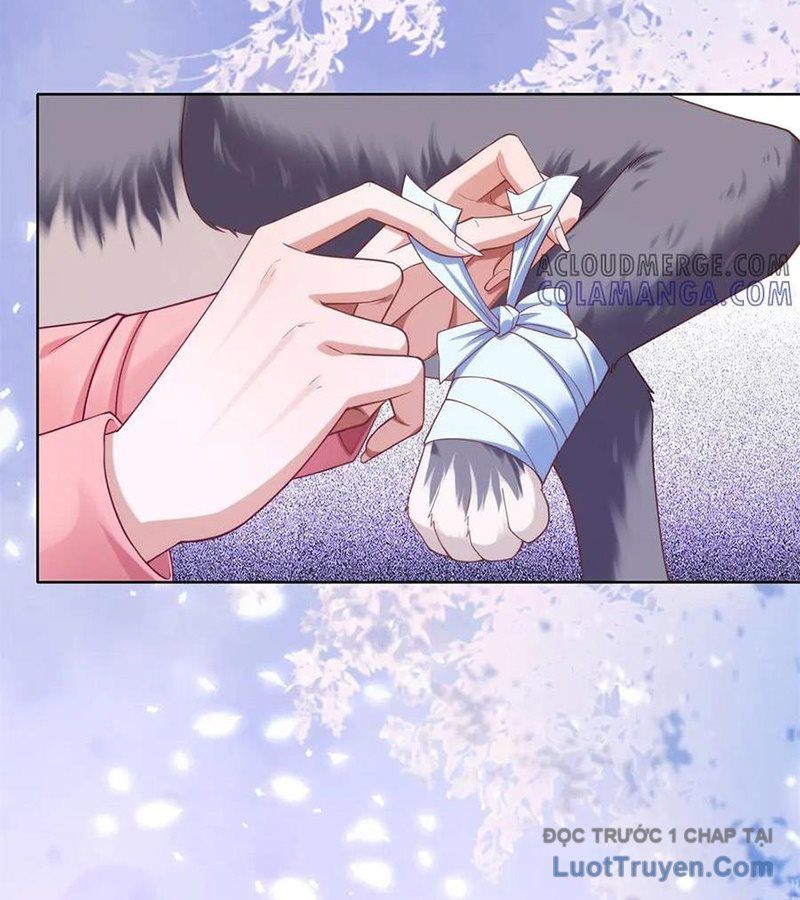 Cửa Hàng Sủng Vật Thần Kỳ Chapter 4 - Trang 41