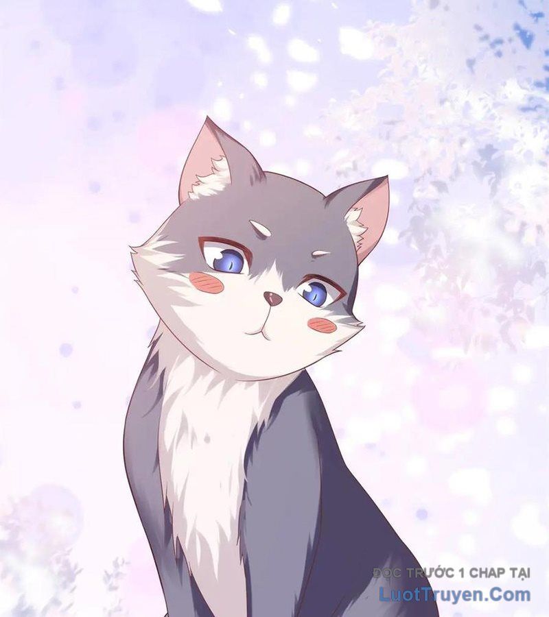 Cửa Hàng Sủng Vật Thần Kỳ Chapter 4 - Trang 42