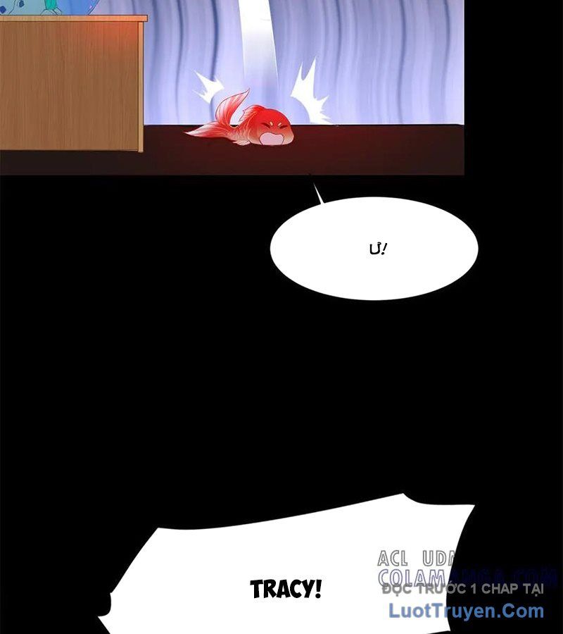 Cửa Hàng Sủng Vật Thần Kỳ Chapter 5 - Trang 16