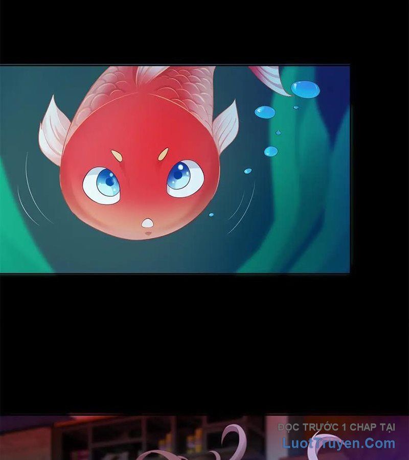 Cửa Hàng Sủng Vật Thần Kỳ Chapter 5 - Trang 7