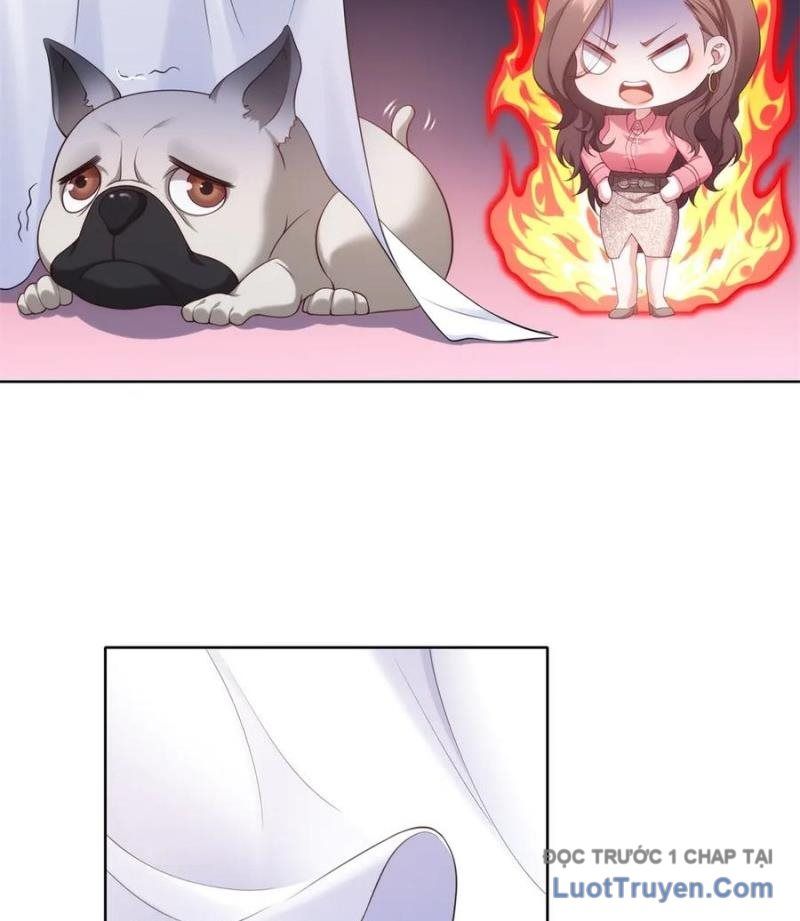 Cửa Hàng Sủng Vật Thần Kỳ Chapter 7 - Trang 14