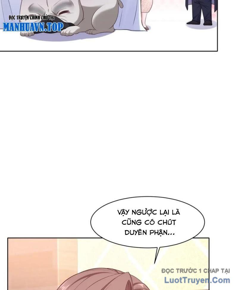 Cửa Hàng Sủng Vật Thần Kỳ Chapter 7 - Trang 20