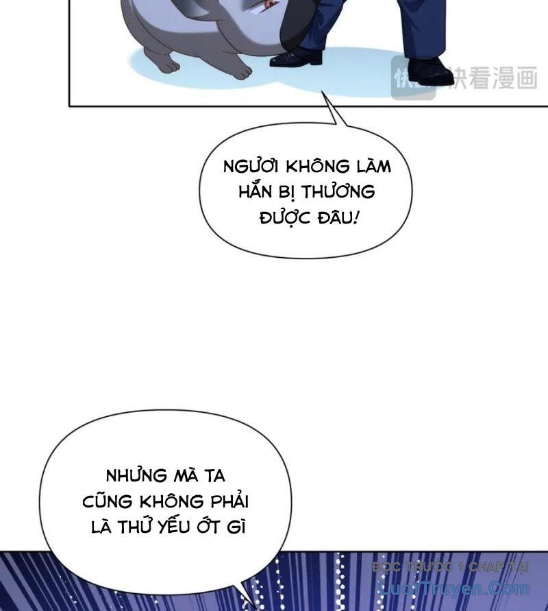 Cửa Hàng Sủng Vật Thần Kỳ Chapter 8 - Trang 35