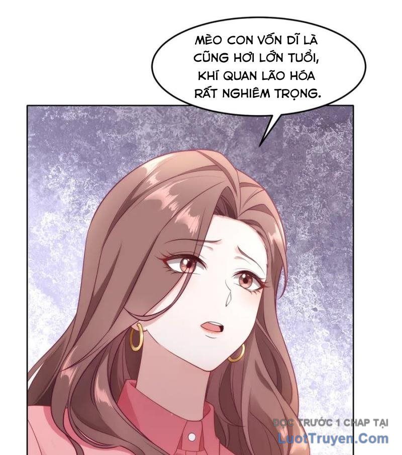 Cửa Hàng Sủng Vật Thần Kỳ Chapter 9 - Trang 26