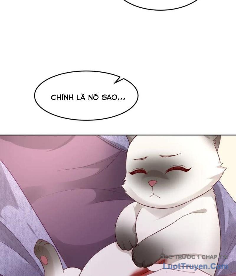 Cửa Hàng Sủng Vật Thần Kỳ Chapter 9 - Trang 6