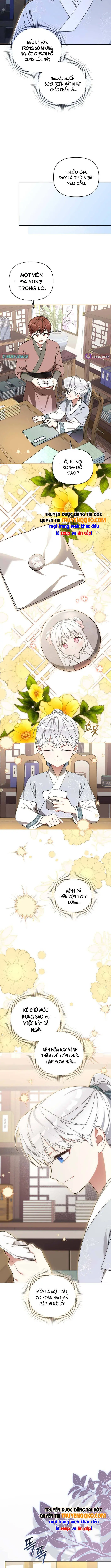 Cục Bông Nhỏ Đáng Yêu Của Tộc Bạch Hổ Chapter 22 - Trang 8