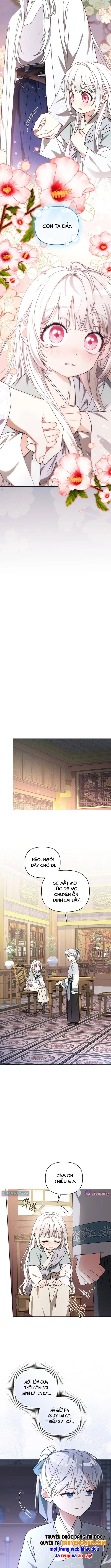 Cục Bông Nhỏ Đáng Yêu Của Tộc Bạch Hổ Chapter 23 - Trang 13