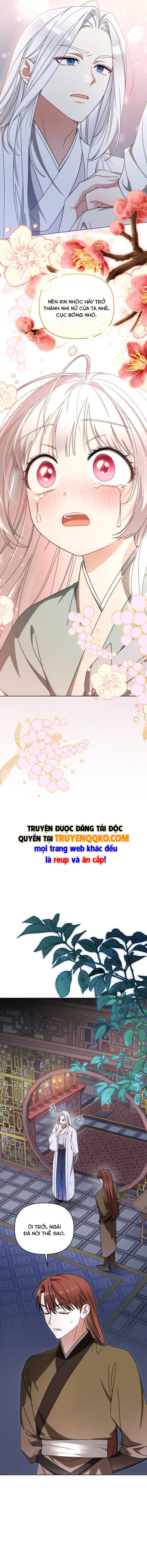 Cục Bông Nhỏ Đáng Yêu Của Tộc Bạch Hổ Chapter 24 - Trang 10