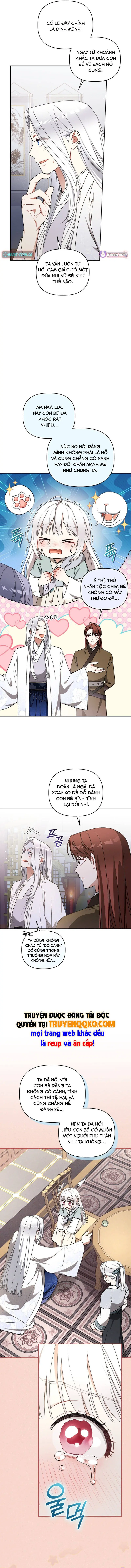 Cục Bông Nhỏ Đáng Yêu Của Tộc Bạch Hổ Chapter 24 - Trang 11