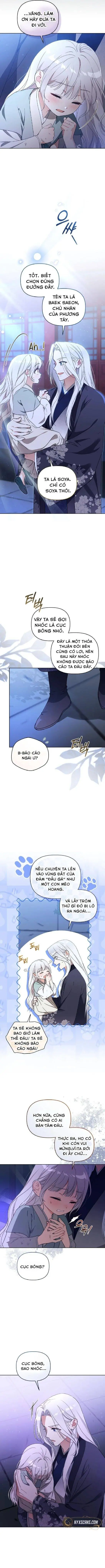 Cục Bông Nhỏ Đáng Yêu Của Tộc Bạch Hổ Chapter 5 - Trang 12