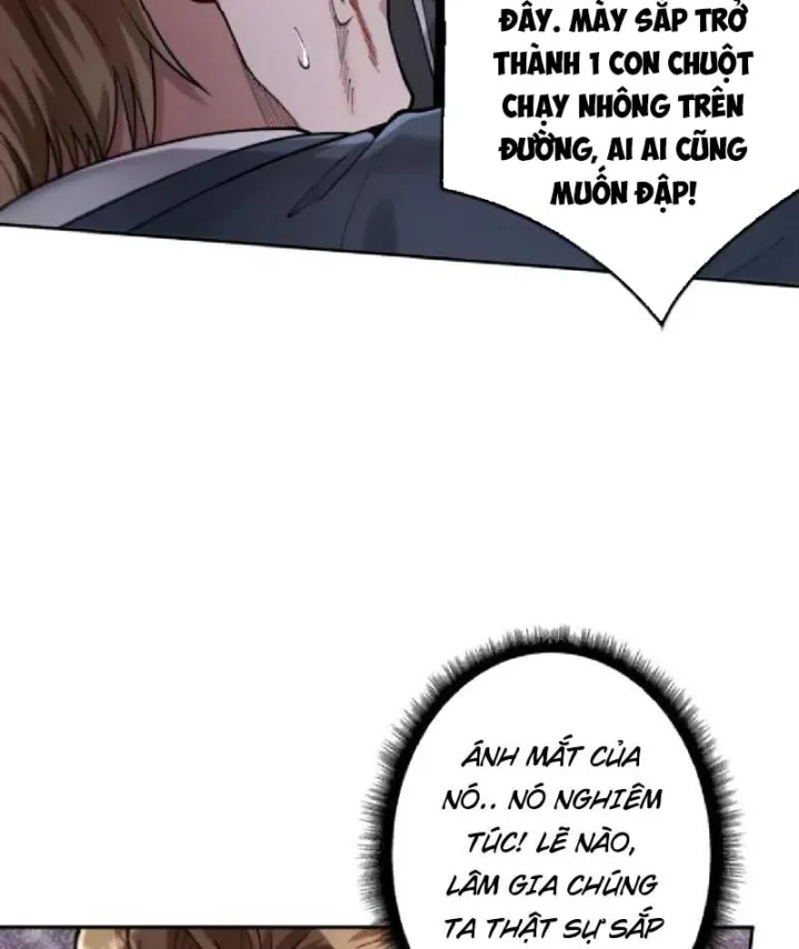 Cực Phẩm Thiên Kiêu Chapter 7 - Trang 50