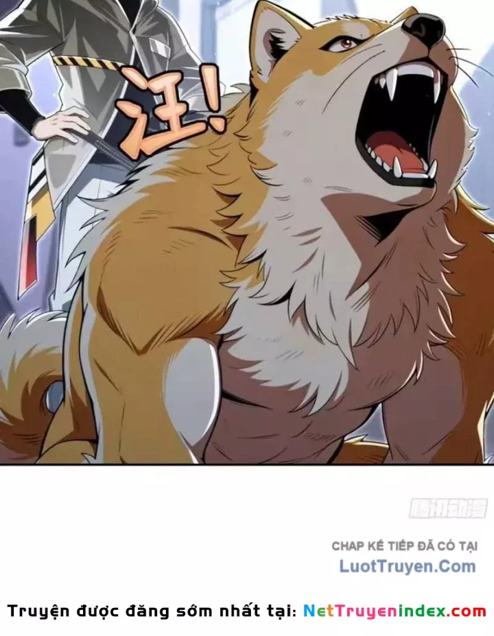 Cuộc Đời Mạt Thế Hoàn Mỹ Của Tôi Chapter 45 - Trang 24