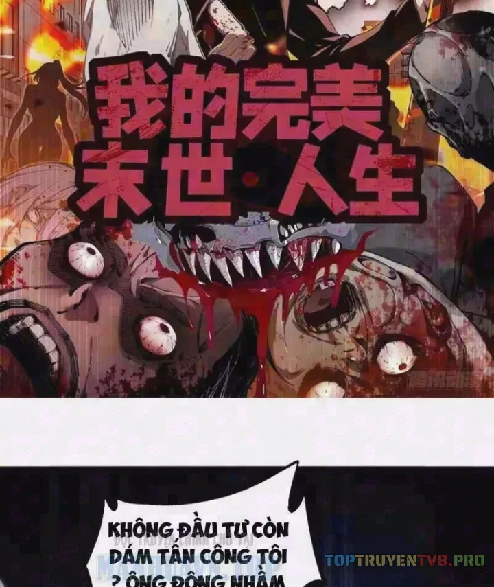 Cuộc Đời Mạt Thế Hoàn Mỹ Của Tôi Chapter 49 - Trang 4