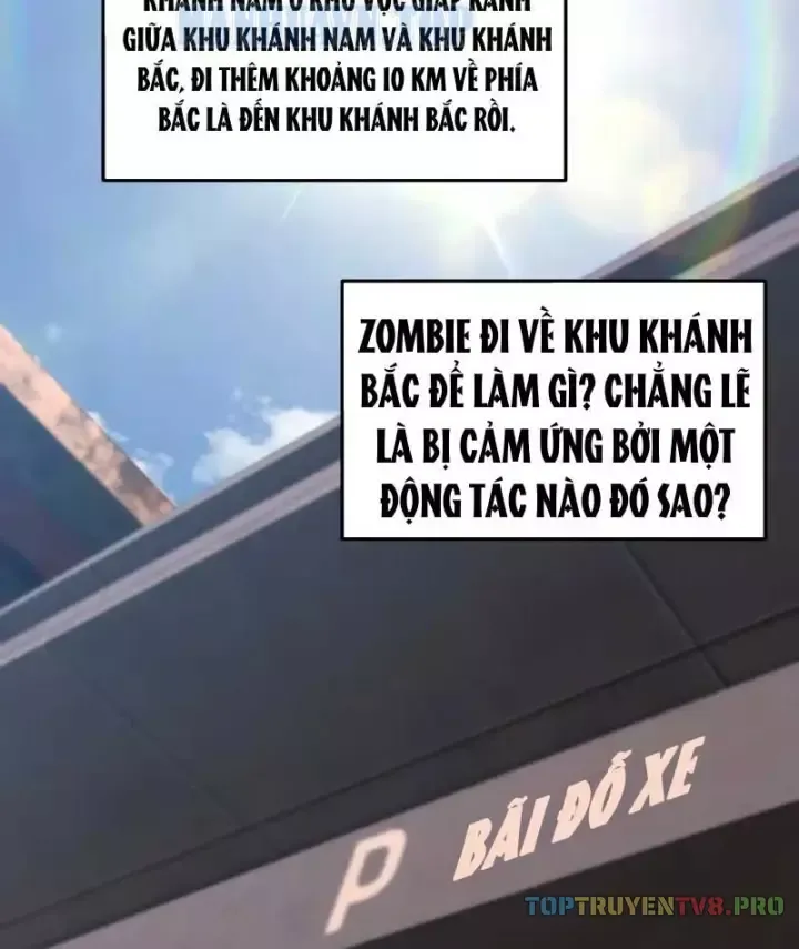 Cuộc Đời Mạt Thế Hoàn Mỹ Của Tôi Chapter 55 - Trang 5