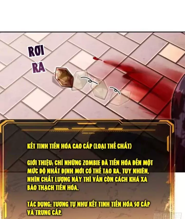 Cuộc Đời Mạt Thế Hoàn Mỹ Của Tôi Chapter 56 - Trang 28