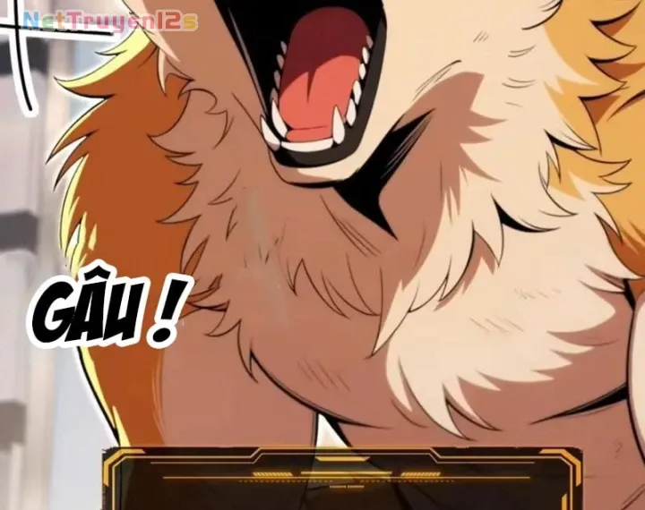 Cuộc Đời Mạt Thế Hoàn Mỹ Của Tôi Chapter 62 - Trang 45