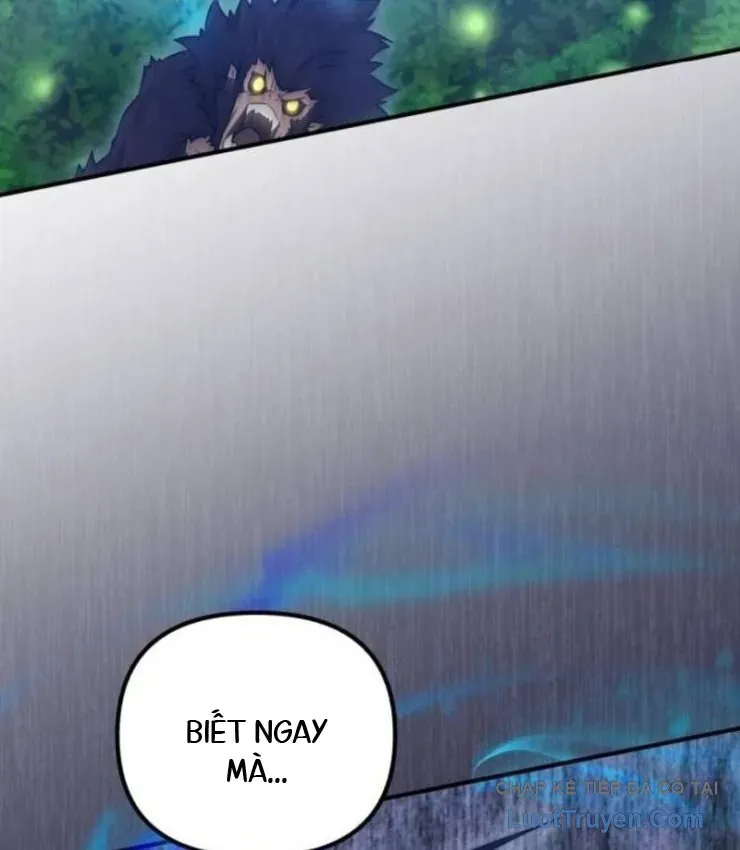 Cuộc Đời Mới Của Cường Giả Chapter 14 - Trang 8