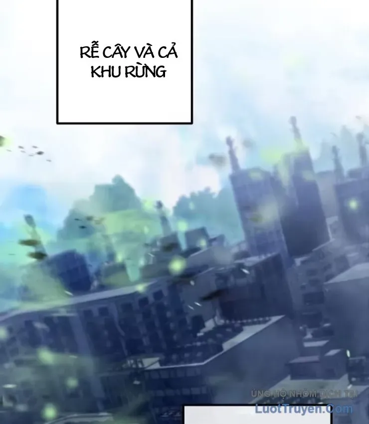 Cuộc Đời Mới Của Cường Giả Chapter 15 - Trang 11