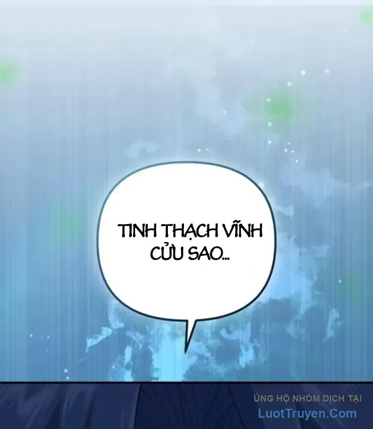 Cuộc Đời Mới Của Cường Giả Chapter 15 - Trang 24