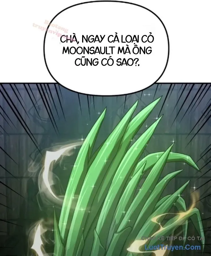 Cuộc Đời Mới Của Cường Giả Chapter 5 - Trang 10