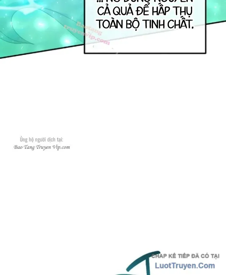 Cuộc Đời Mới Của Cường Giả Chapter 7 - Trang 39