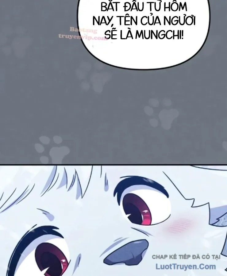 Cuộc Đời Mới Của Cường Giả Chapter 8 - Trang 49