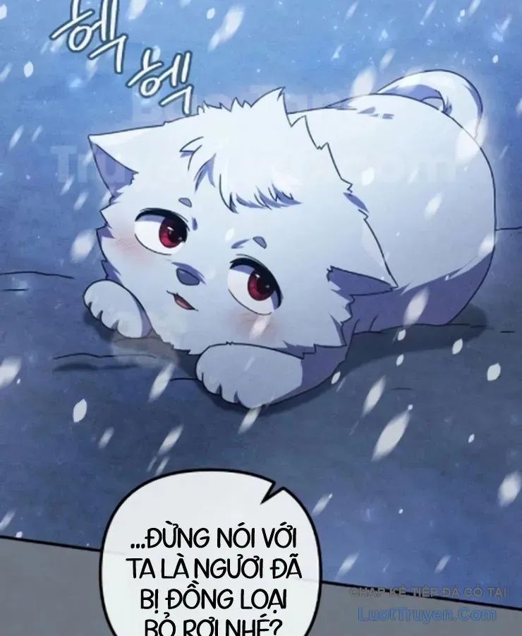 Cuộc Đời Mới Của Cường Giả Chapter 8 - Trang 8