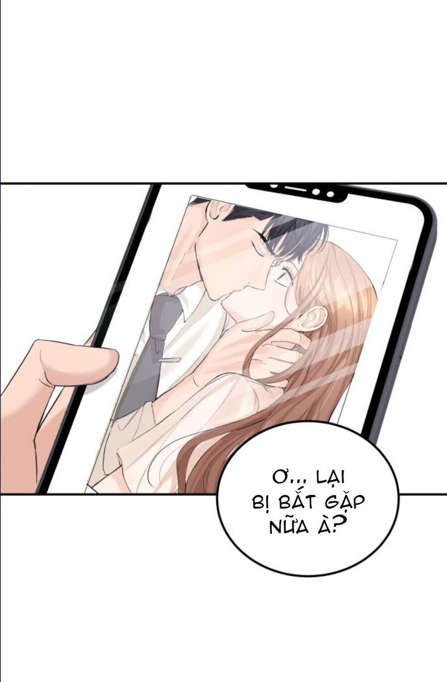 Cuộc Hôn Nhân Hoàn Hảo Chapter 12.2 - Trang 12