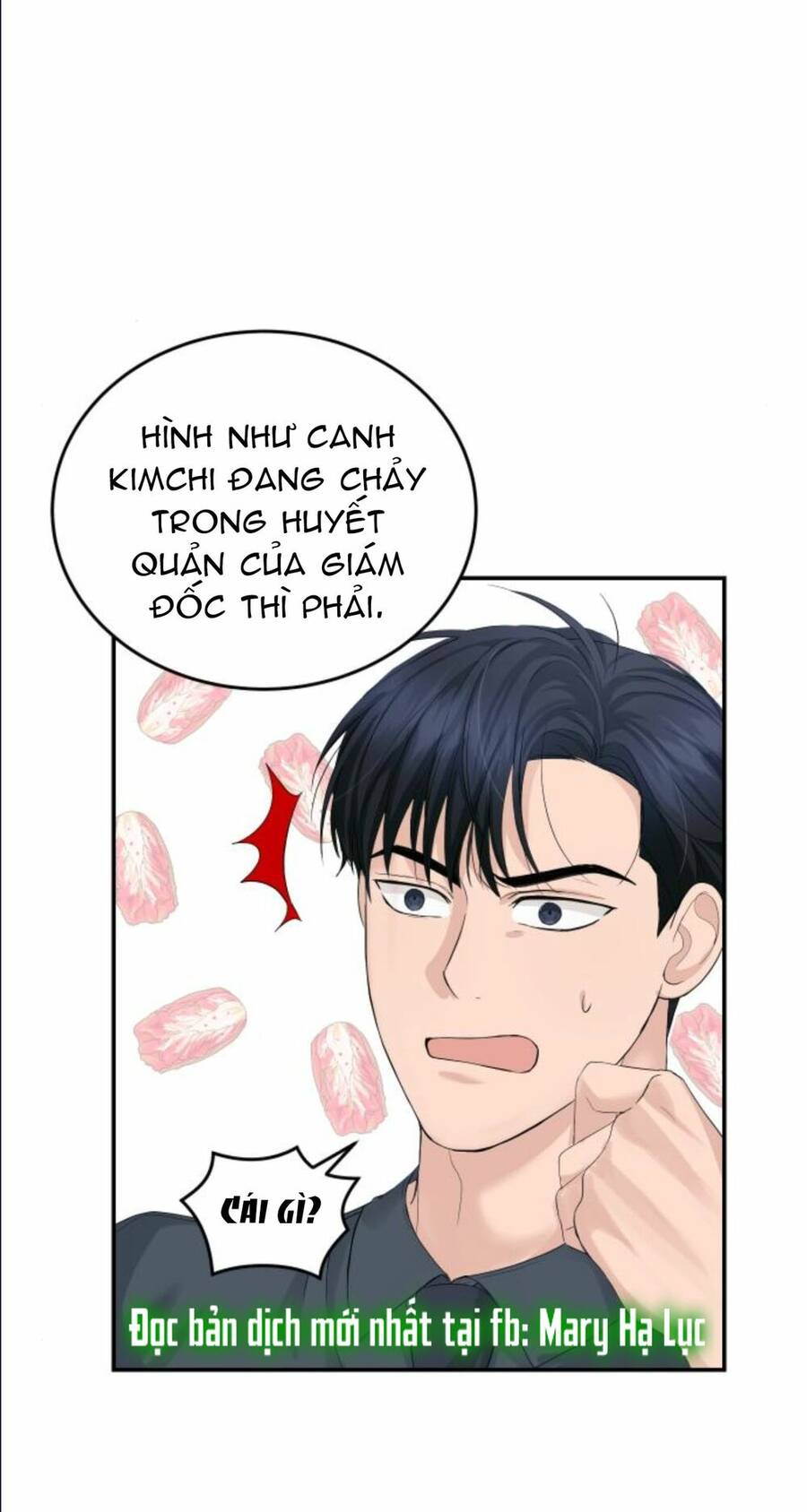 Cuộc Hôn Nhân Hoàn Hảo Chapter 12.2 - Trang 29