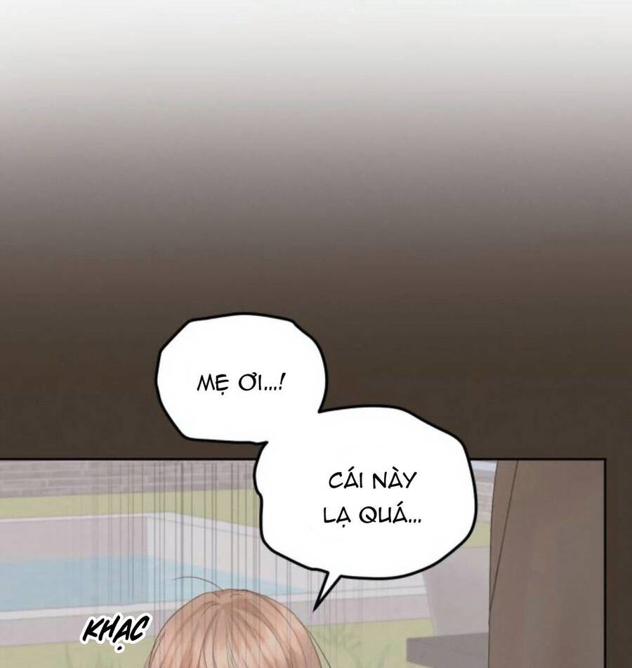 Cuộc Hôn Nhân Hoàn Hảo Chapter 19.1 - Trang 6