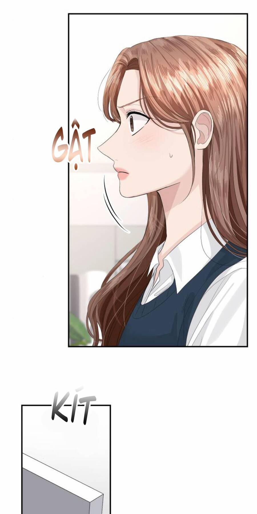 Cuộc Hôn Nhân Hoàn Hảo Chapter 39 - Trang 5