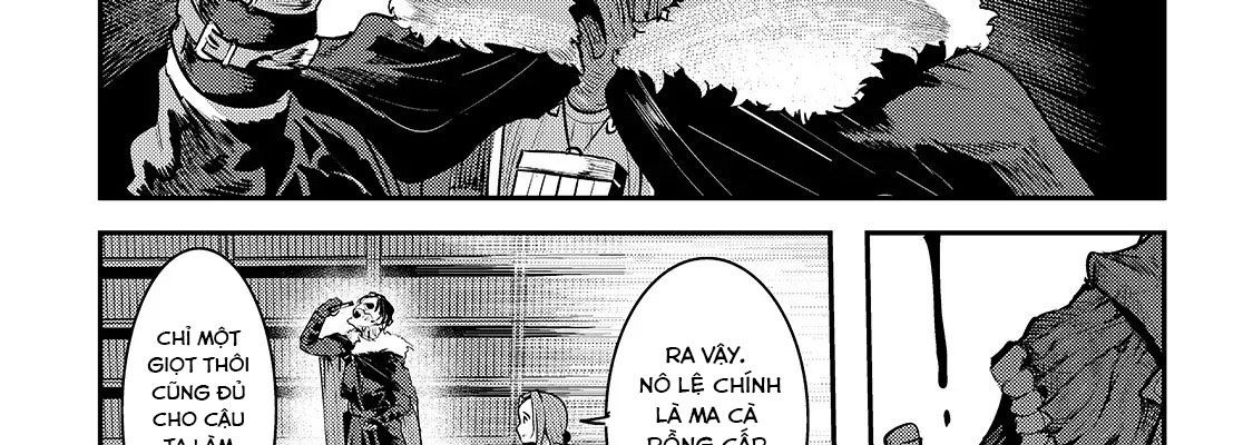 Cuộc Phiêu Lưu Của Kẻ Bất Tử Không Mong Muốn Chapter 17 - Trang 13
