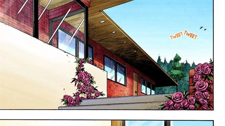 Cuộc Phiêu Lưu Kì Bí Của Jojo Phần 8: Jojolion Chapter 11 - Trang 12