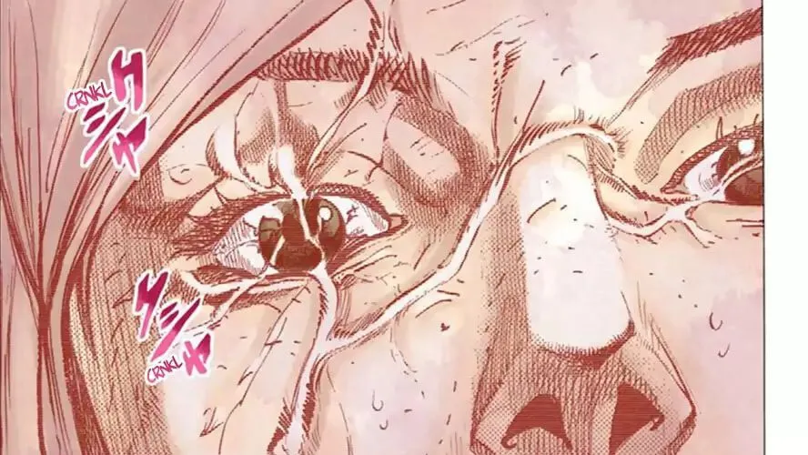 Cuộc Phiêu Lưu Kì Bí Của Jojo Phần 8: Jojolion Chapter 24 - Trang 18