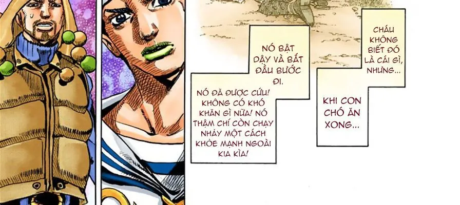 Cuộc Phiêu Lưu Kì Bí Của Jojo Phần 8: Jojolion Chapter 30 - Trang 39